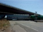 MP 723906